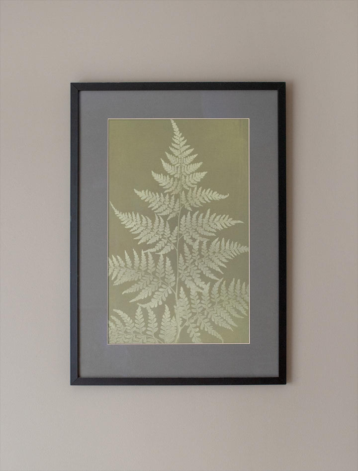 Fern Wall Art Printable – Botanical Nature-Inspired Decor | Framed Digital Greenery Print