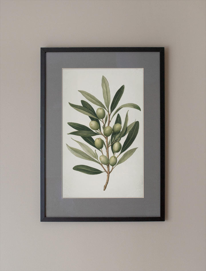 Elegant Olive Branch Botanical Illustration Instant Download - Minimalist Home Decor - Neutral Tones - Digital Art Print - Printable Wall