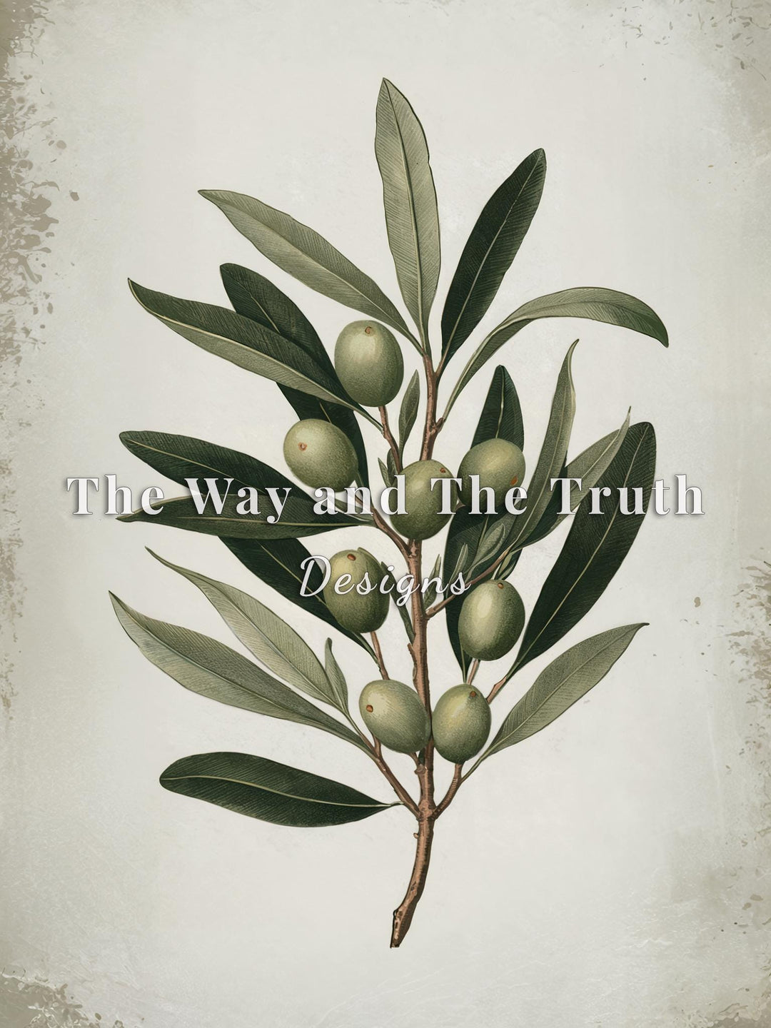 Elegant Olive Branch Botanical Illustration Instant Download - Minimalist Home Decor - Neutral Tones - Digital Art Print - Printable Wall